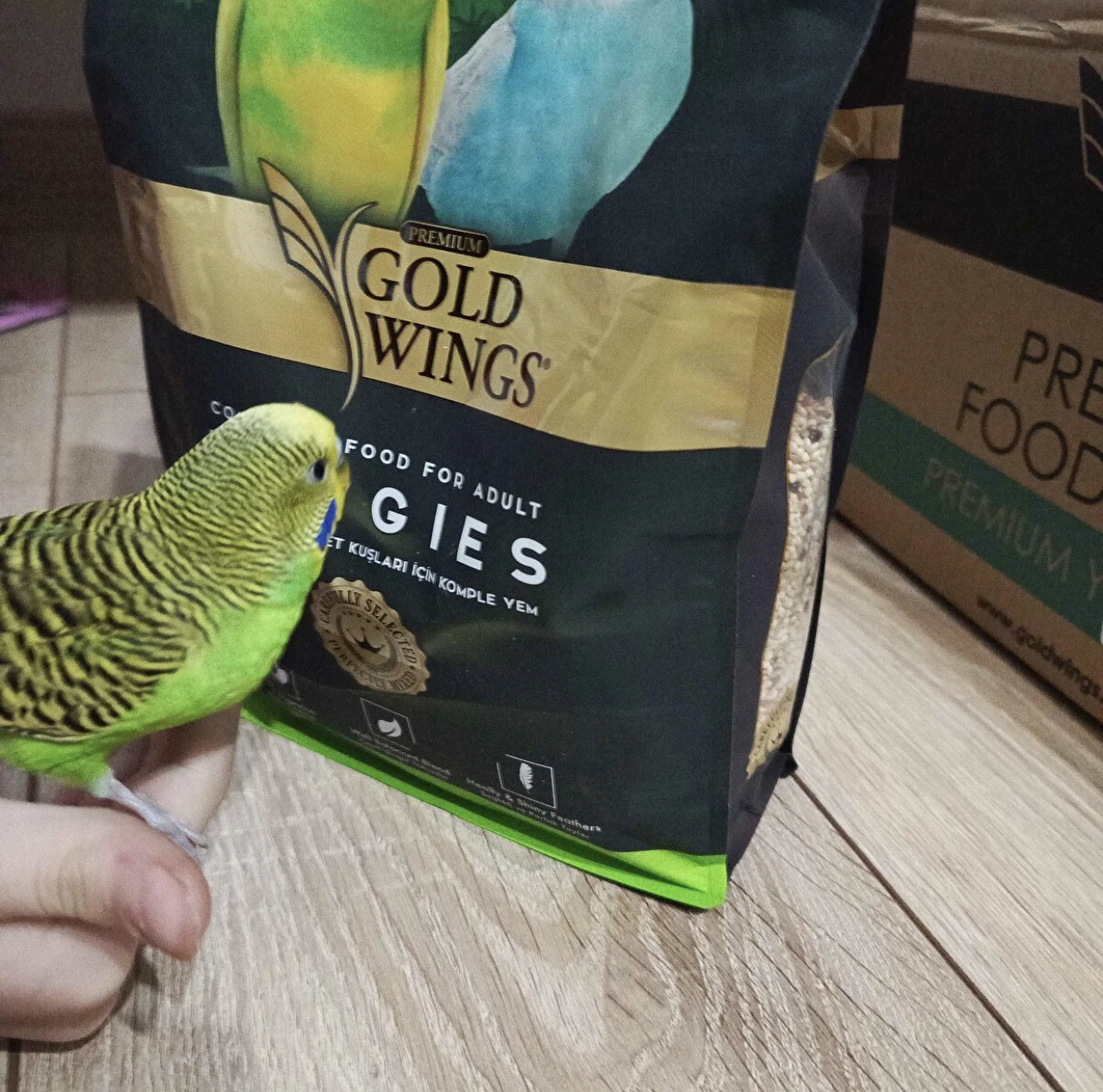 غذای پریمیوم مرغ عشق گلد وینگز (Gold Wings Premium) 1 کیلوگرم